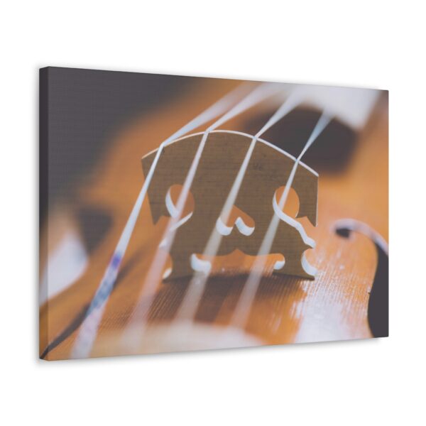 Cello 2 - Image 10