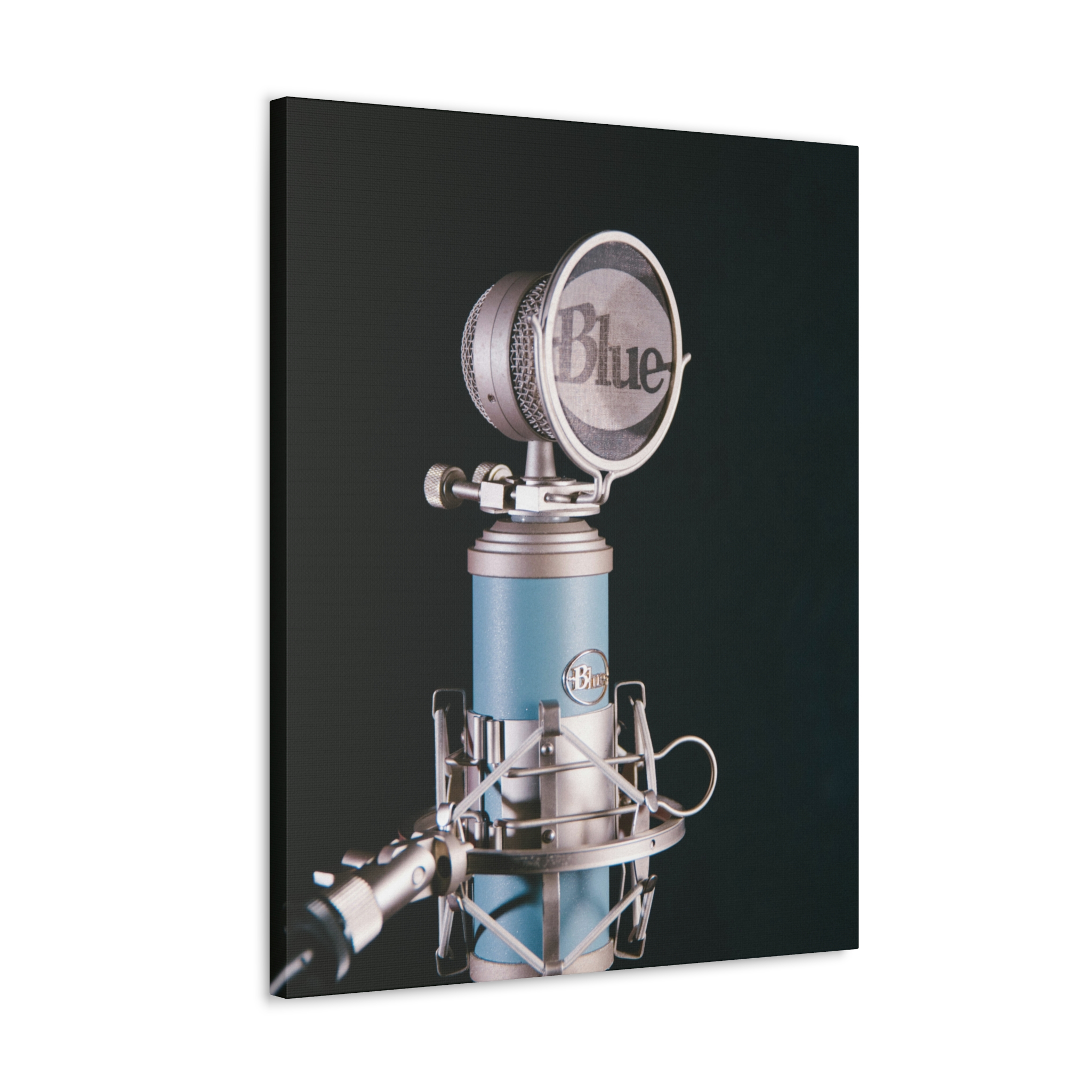 Blue Microphone - Image 3