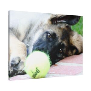 "Focus is Everything".... Polyester Canvas Wood Frame