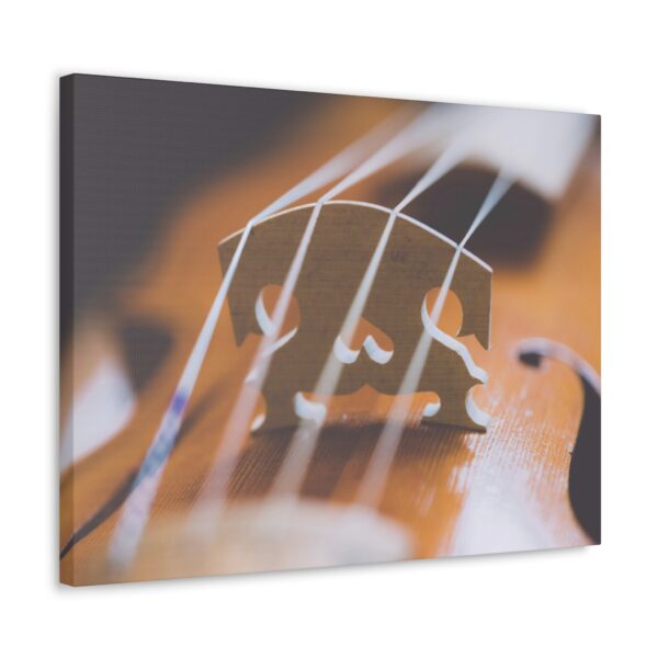 Cello 2 - Image 3