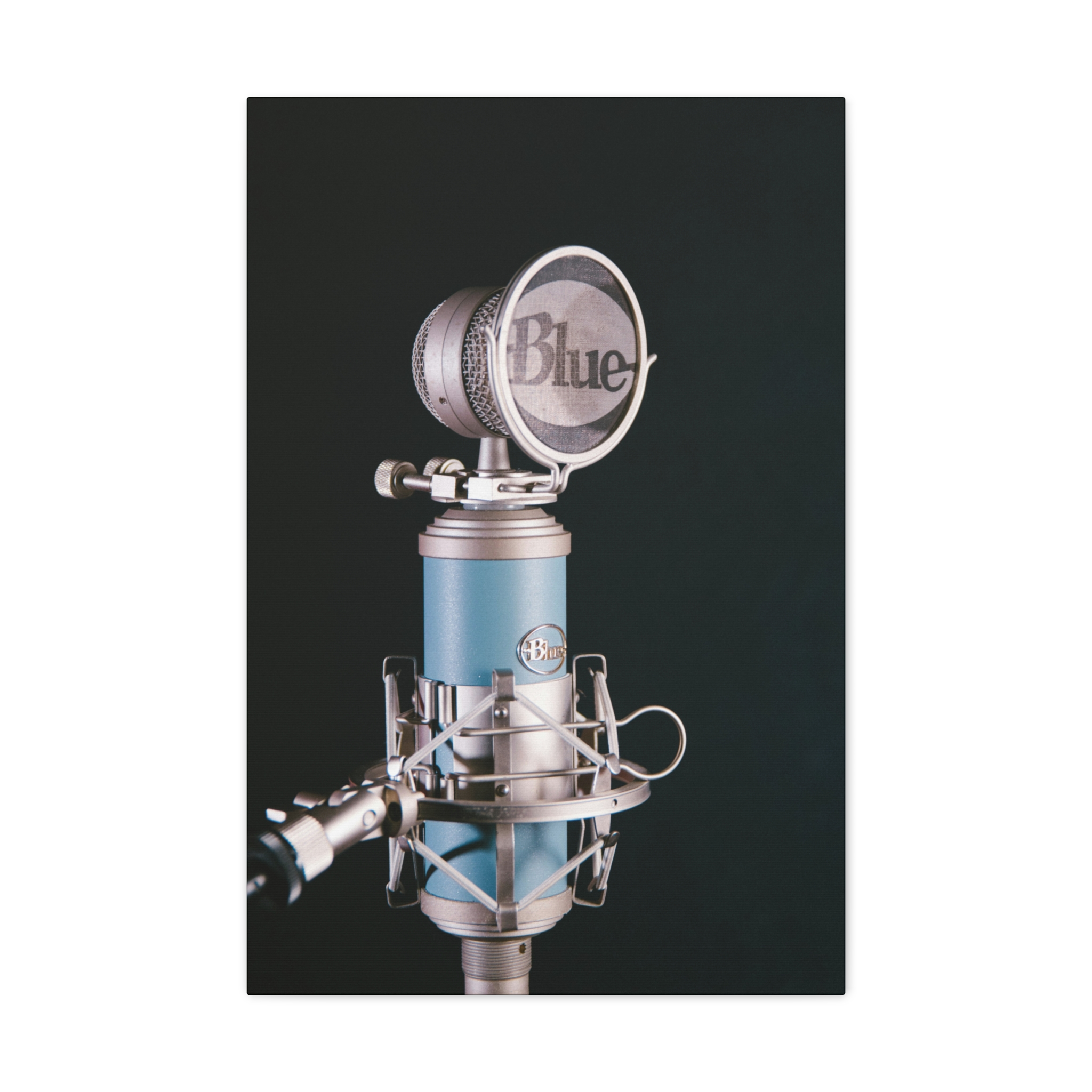 Blue Microphone - Image 23