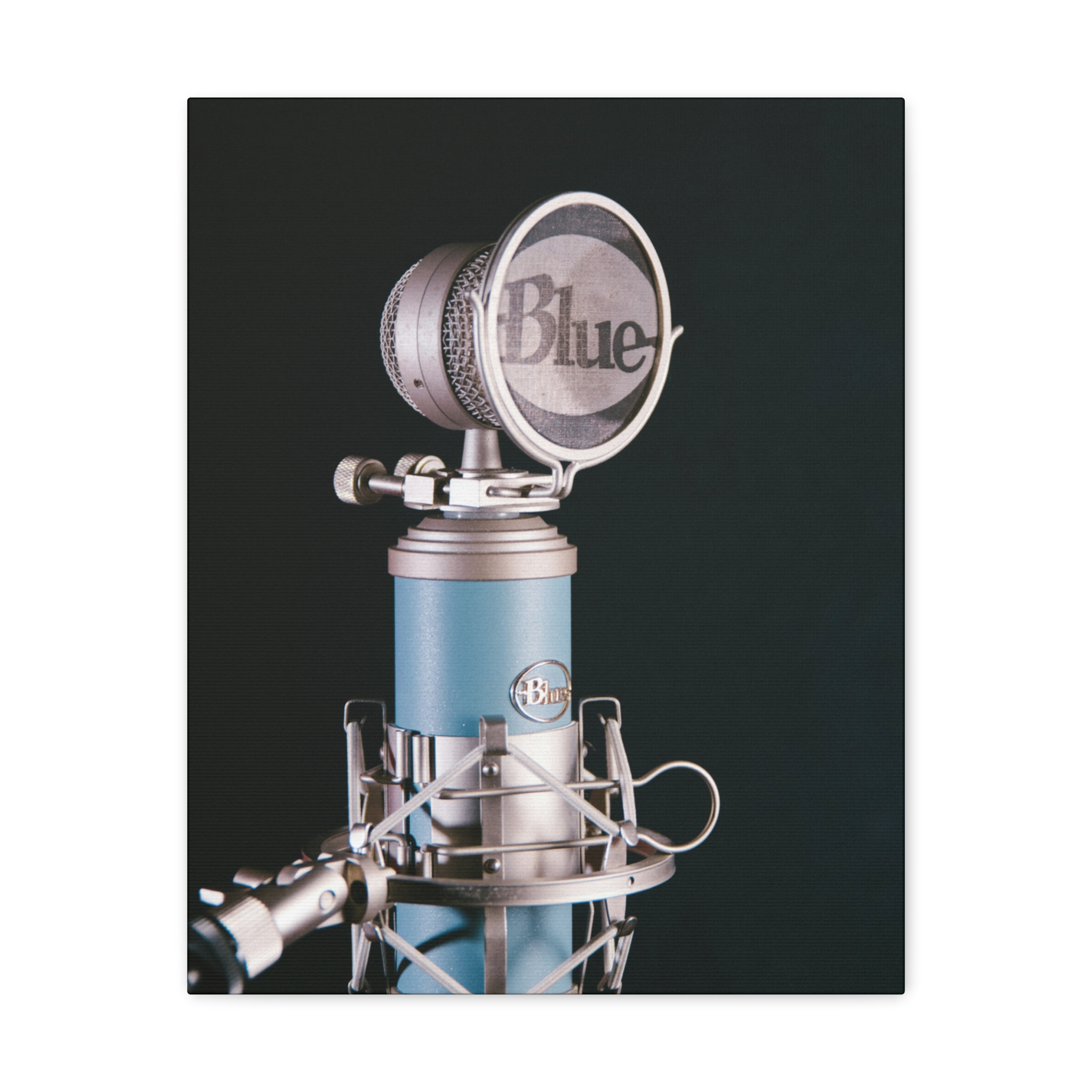 Blue Microphone - Image 16