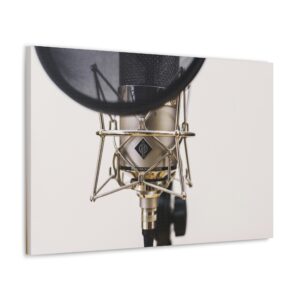 Neumann Microphone